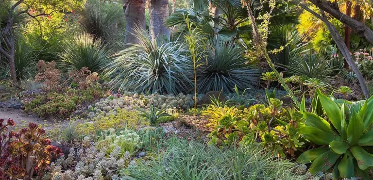 The Ruth Bancroft Garden & Nursery